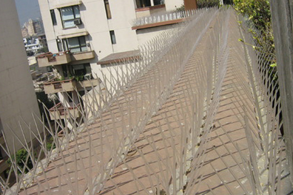 Bird Spikes Services in Mumbai